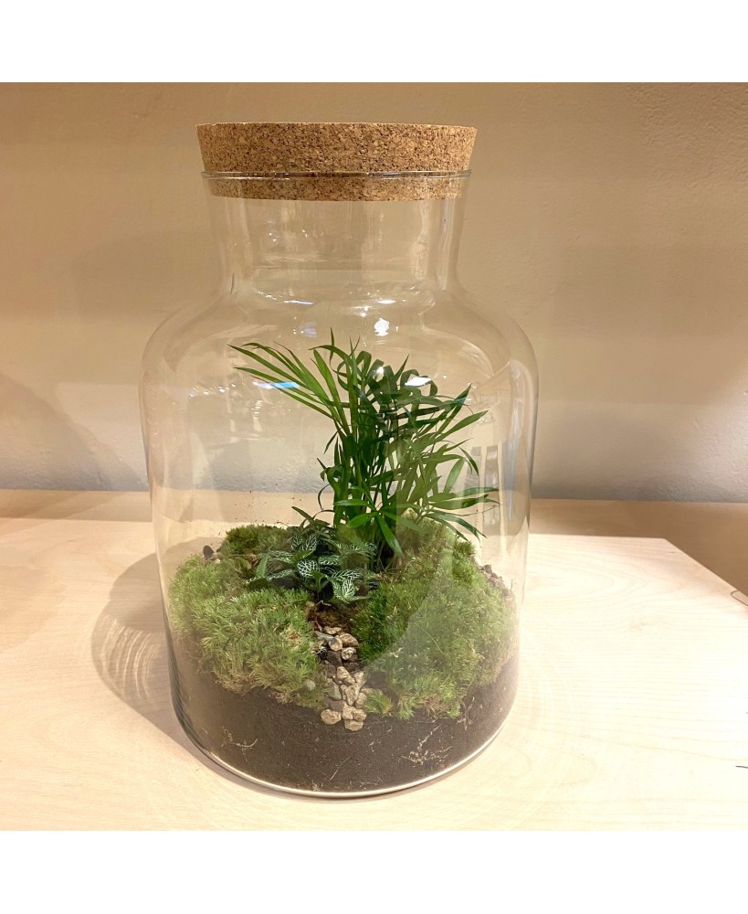 Plantenbiotoop in glas met Large - Meneertje Haas
