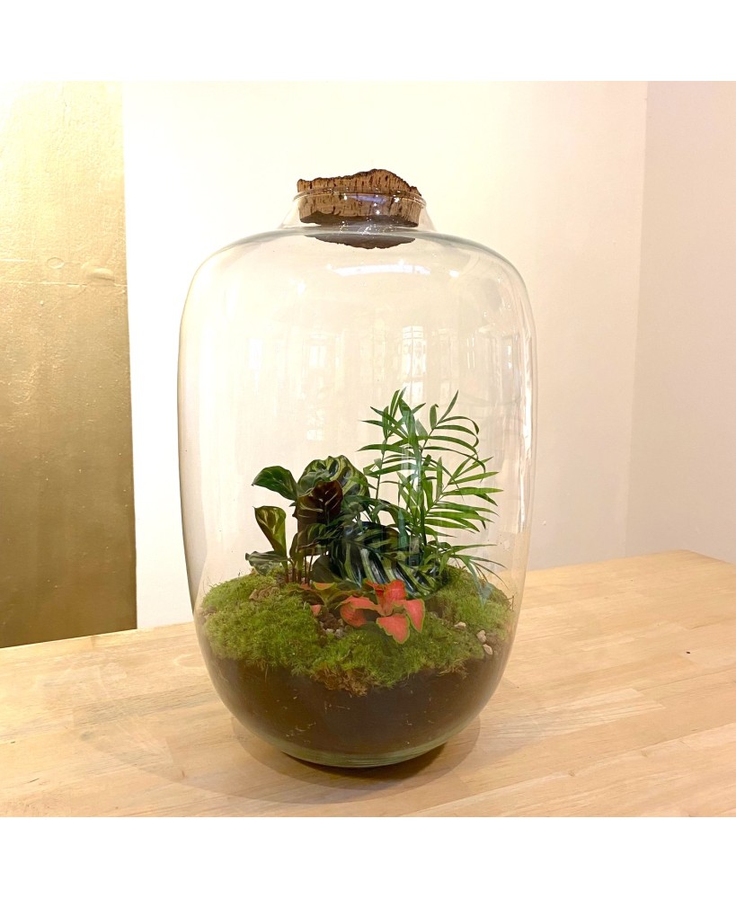 Plantenbiotoop in glas met kurk XLarge - Meneertje Haas