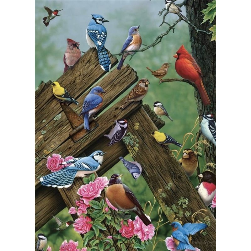 Cobble Hill puzzle 1000 pieces - Birds of the Forest
