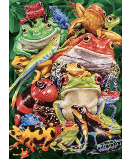 Cobble Hill puzzle 1000 pieces - Frog Business